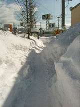 110208_aomori2.jpg